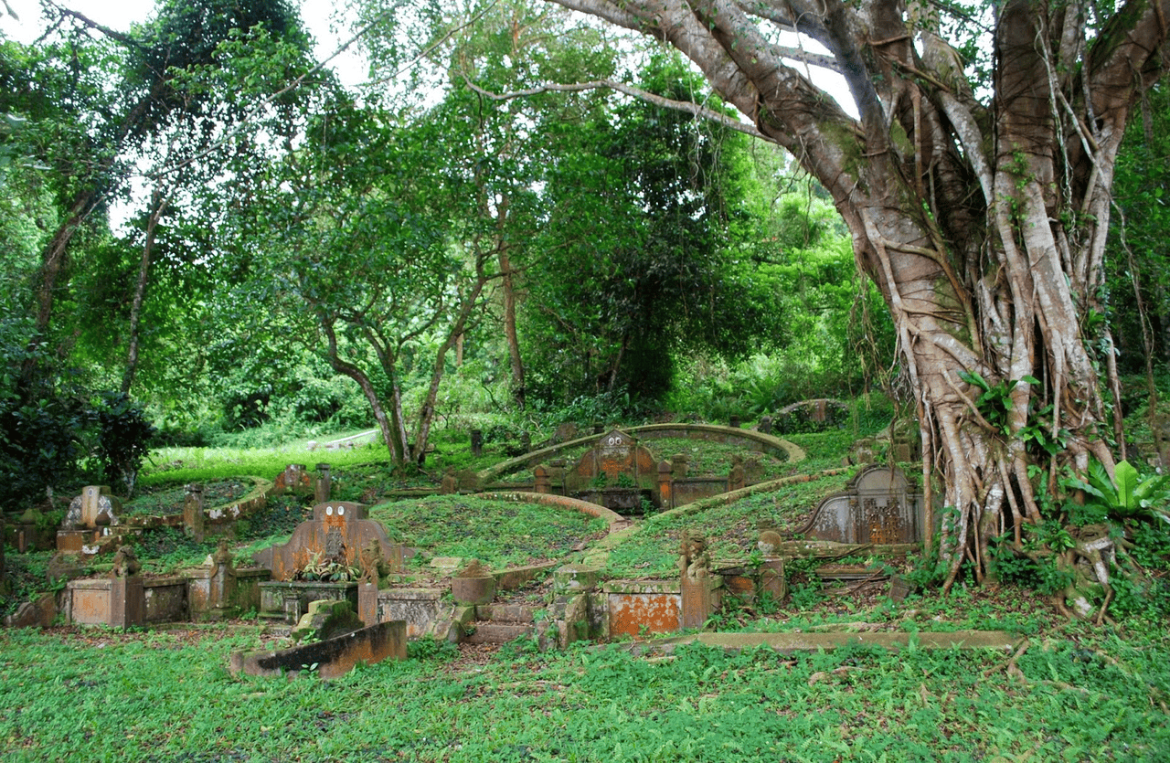 liburan natal di singapore